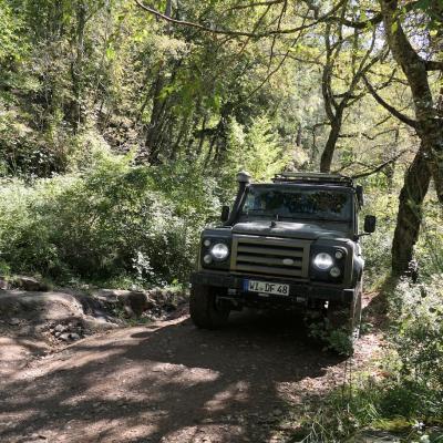 4x4